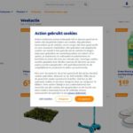 Action.com